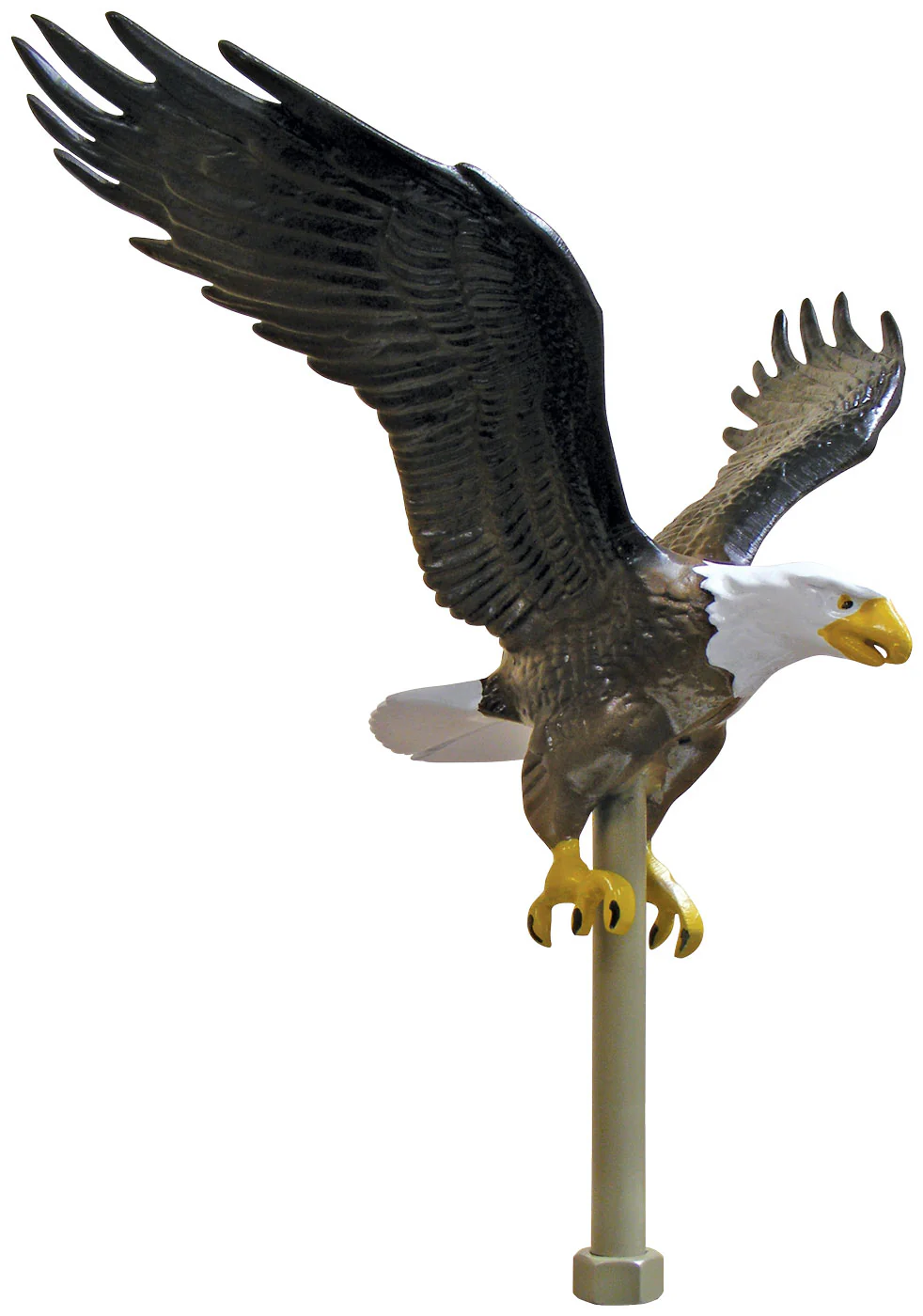 Aluminum Flying Eagle - Image 3