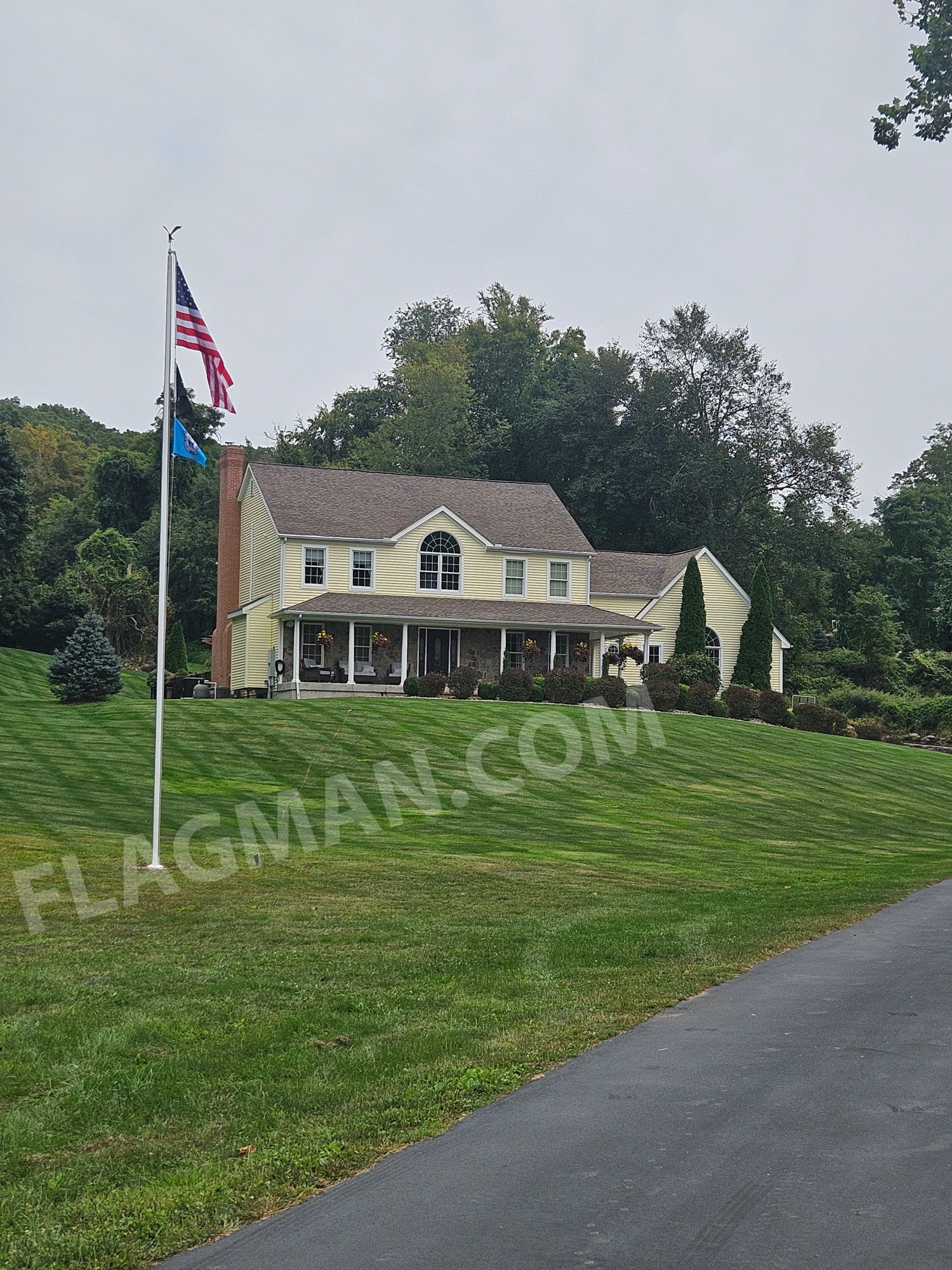 Aluminum Flying Eagle - Image 8
