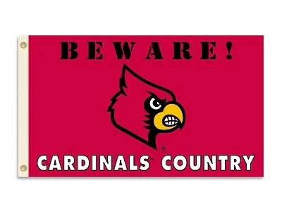 Arizona Cardinals Outdoor Flags - Image 11