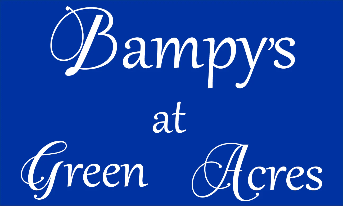 Bampys at Green Acres Printed Custom Flag 3'x5' - Single Reverse - Heading & Grommets