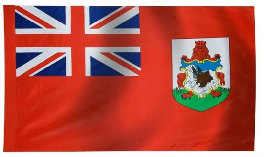 Bermuda Indoor / Parade Flag - Image 3