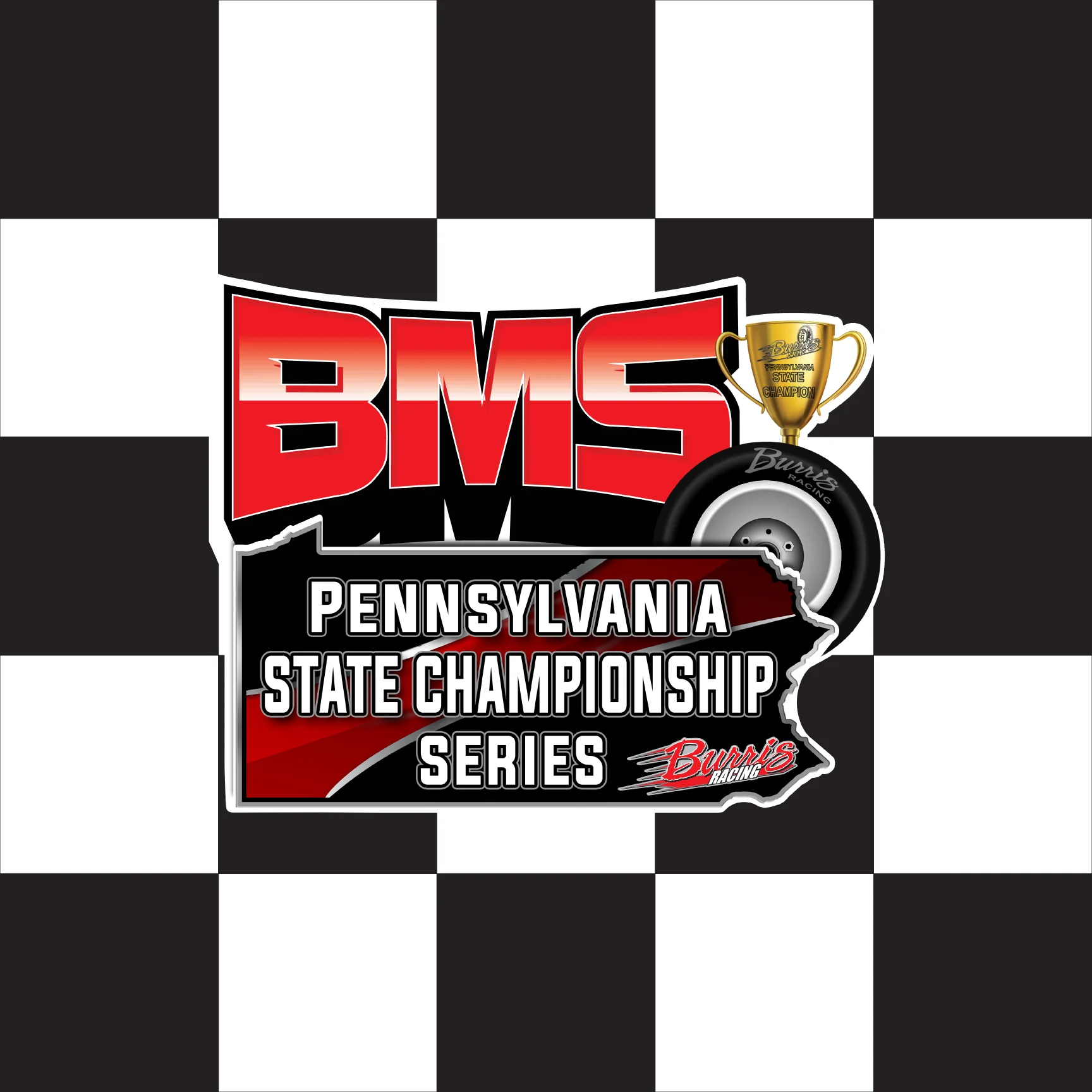 BMS Series Burris Custom Checkered Racing Flag - 24"x24" - Nylon - Single Reverse - Stapled to 32" x 5/8" Dowel