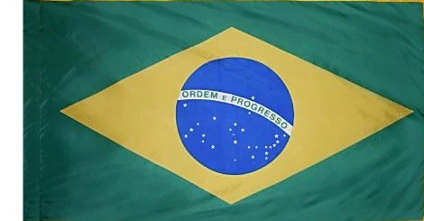 Brazil Indoor / Parade Flag - Image 3