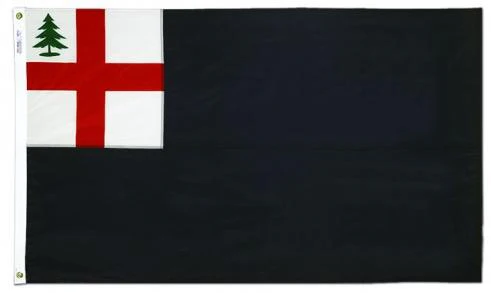 Bunker Hill Flag - Image 2