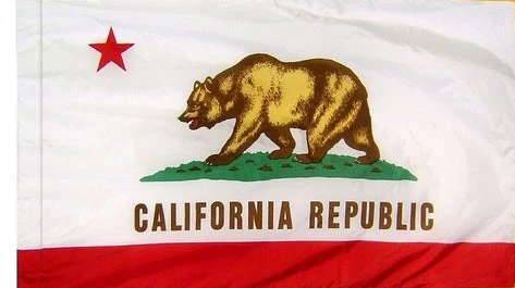 California Indoor / Parade Flag - Image 3