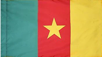 Cameroon Indoor / Parade Flag