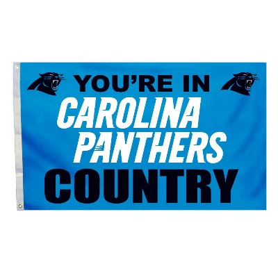 Carolina Panthers Outdoor Flags - Image 3