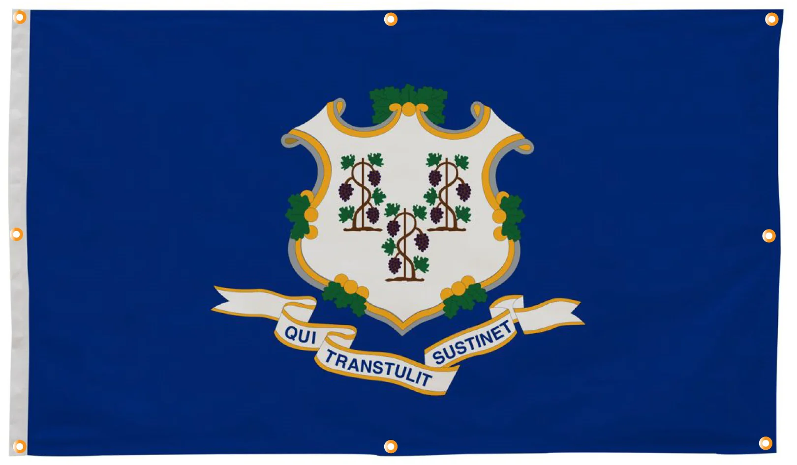 Connecticut Flag with Grommets Along the Edges for Wall Hanging - Image 4