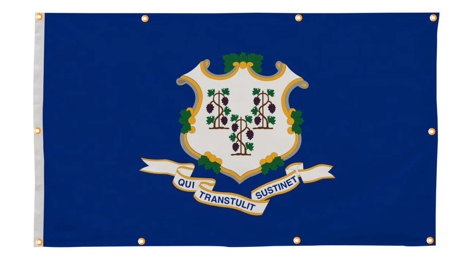 Connecticut Flag with Grommets Along the Edges for Wall Hanging - Image 5
