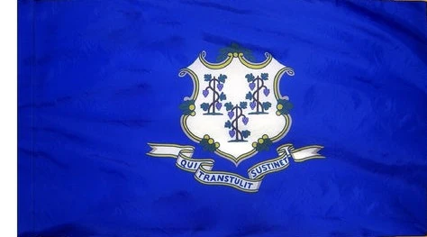 Connecticut Indoor / Parade Flag - Image 3