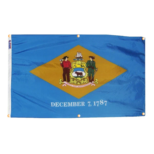 Delaware Flag with Grommets Along the Edges for Wall Hanging - Image 3
