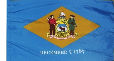 Delaware Indoor / Parade Flag - Image 3