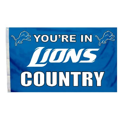 Detroit Lions Outdoor Flags - Image 3