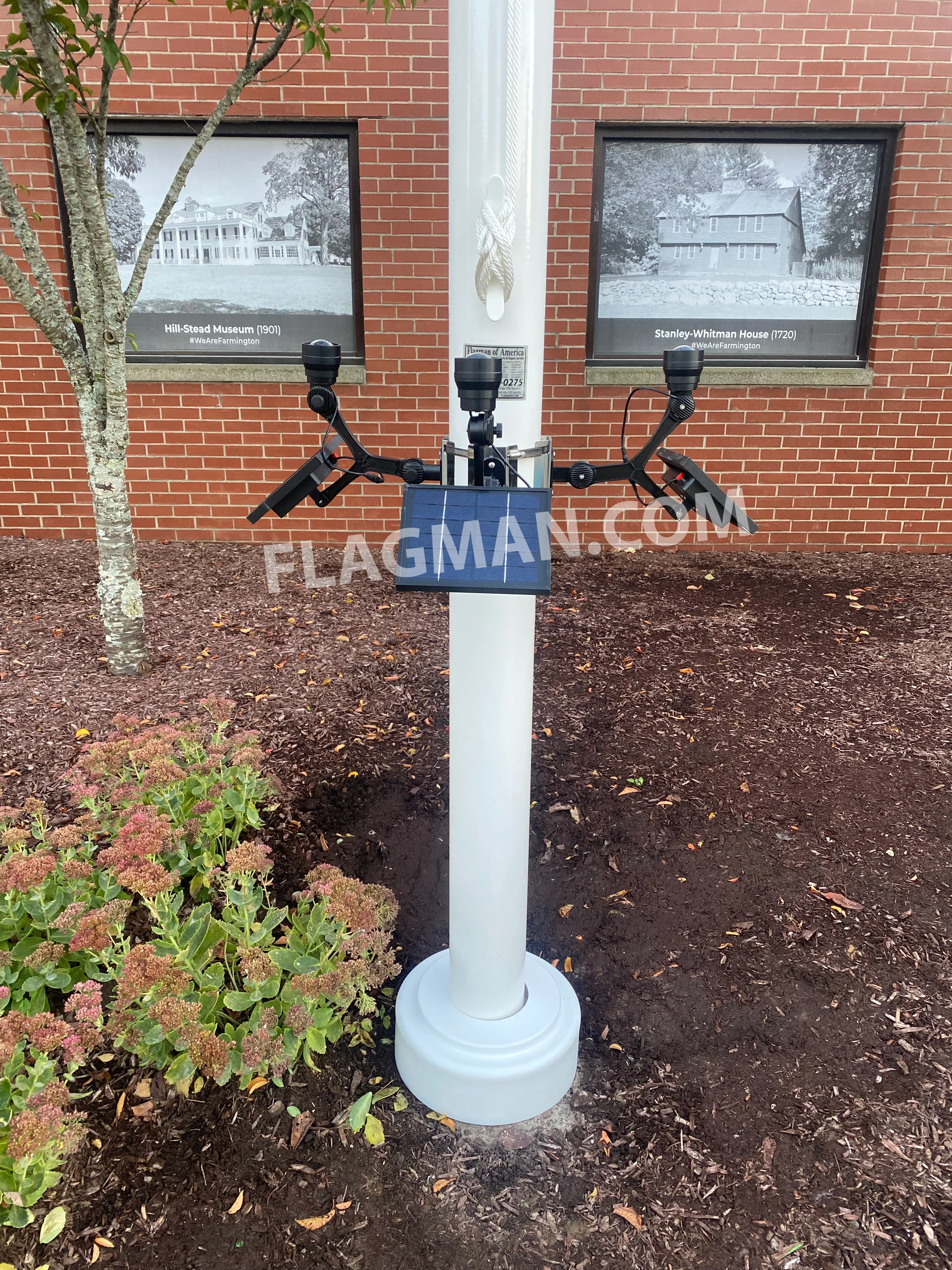 Extreme Commercial Solar Flagpole Light CREE - Image 3