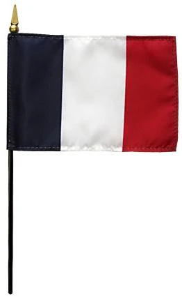 France Stick Flag 4"x6"