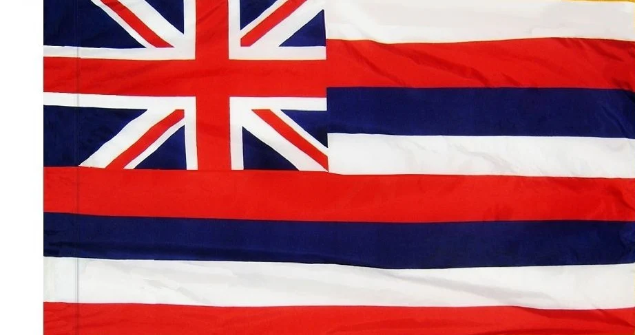 Hawaii Indoor / Parade Flag - Image 3
