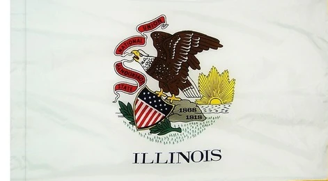 Illinois Indoor / Parade Flag - Image 3