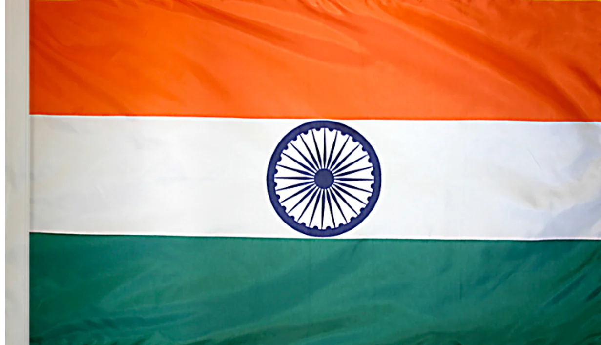 India Indoor / Parade Flag - Image 3