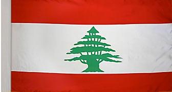 Lebanon Indoor / Parade Flag - Image 3