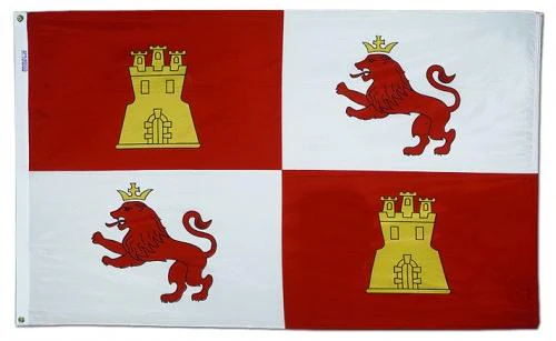 Lions and Castles Flag