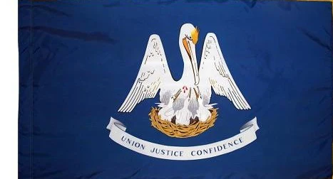 Louisiana Indoor / Parade Flag - Image 3