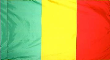 Mali Indoor Flag - Image 2