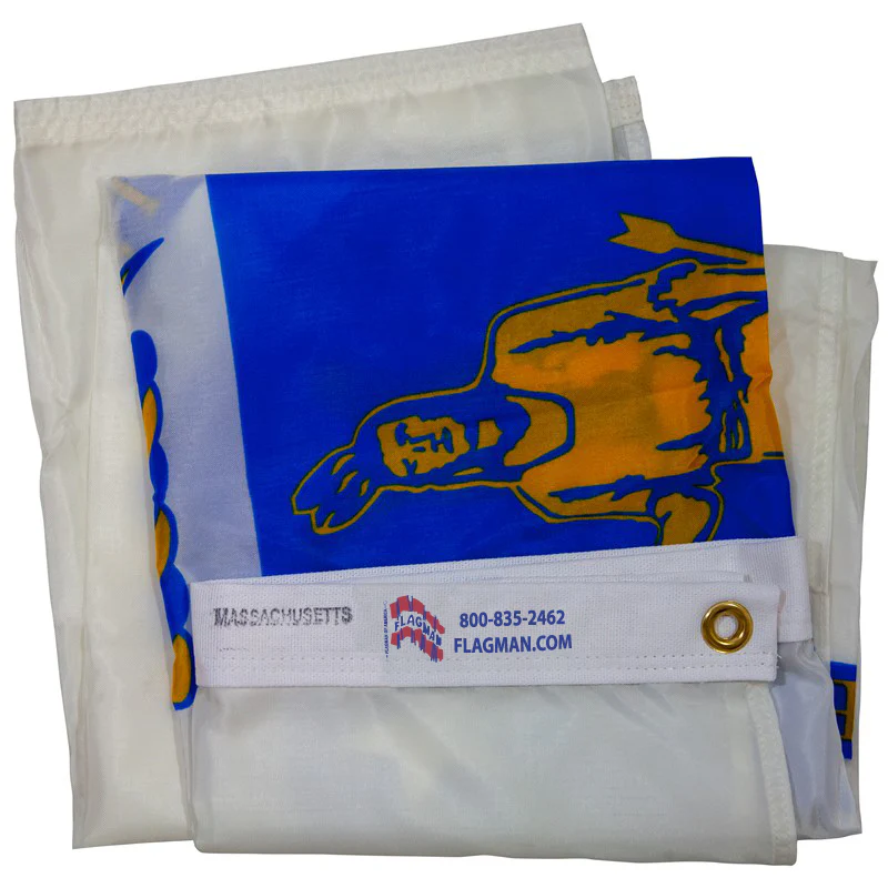 Massachusetts Outdoor Nylon State Flag | Made in USA | Low-Medium Wind Flag - Image 3