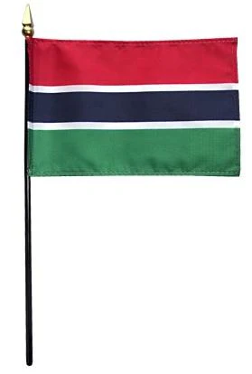 Mini Gambia Flag