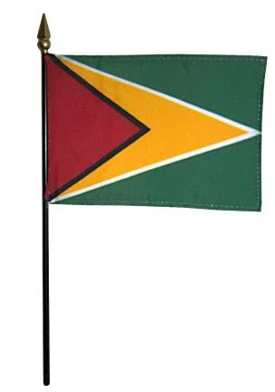 Mini Guyana Flag