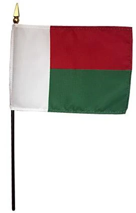Mini Madagascar Flag