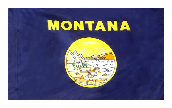 Montana Indoor / Parade Flag - Image 2