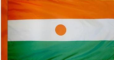 Niger Indoor Flag - Image 2