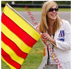 Sewn Surface Racing Flag (Yellow & Red Vertical Stripe) - Image 3