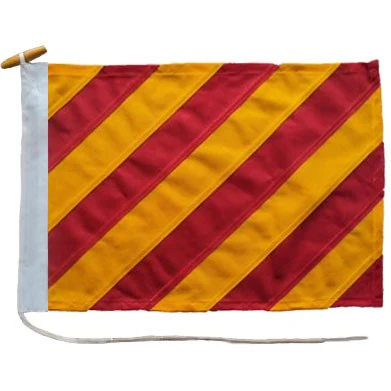Signal Flag Y - Image 2