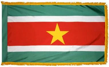 Suriname Indoor Flag - Image 2