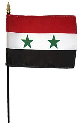 Syria Stick Flag 4"x6"