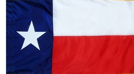 Texas Indoor / Parade Flag - Image 3