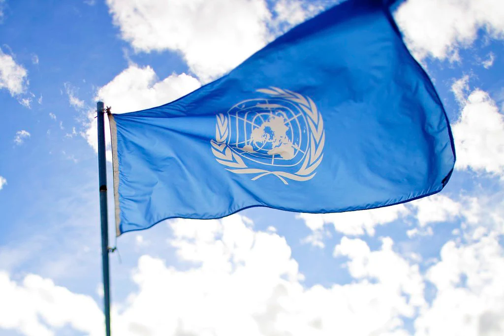 United Nations Outdoor Flag - Image 2
