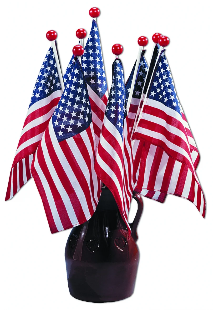 Verona Brand Saf-T-Ball Flags - Image 2