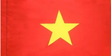 Vietnam Indoor / Parade Flag - Image 2