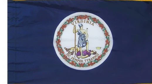 Virginia Indoor / Parade Flag - Image 3