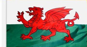 Wales Indoor Flag