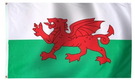Wales Outdoor Flag