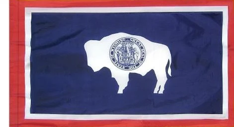 Wyoming Indoor / Parade Flag - Image 3
