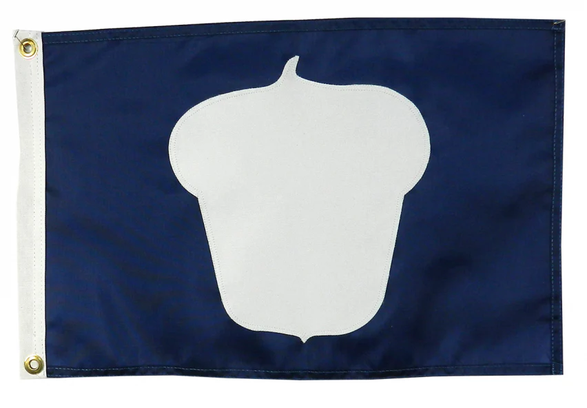 Treasurer Officers' Flag